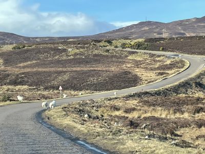 flot vej på vores Motorcykeltur til Skotland